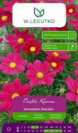 Divplūksnu kosmejas klajās Sensation Dazzler 1 g W.Legutko