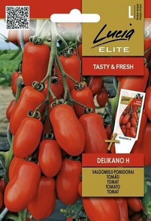 TOMĀTI DELICANO H 0.1 g Sėklos LT (Lucia ELITE)