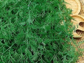 Dilles OLIVER 100 g Pnos