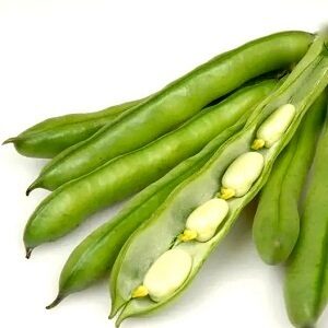 Pupas dārza DRAGON SNO 500 g Toraf (SNOWIDZA)