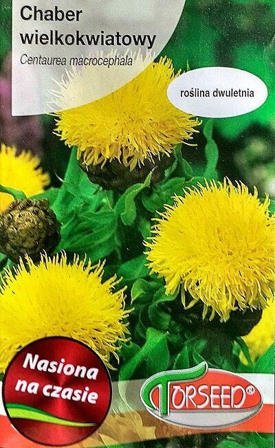 Lielgalvainā dzelzene 1 g Torseed A.P.