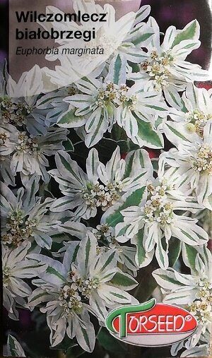 Apmaļu eiforbija 0.5 g Torseed A.P.