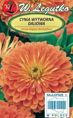 Cinnijas dāliju Eldorado 1 g W.Legutko A.P.