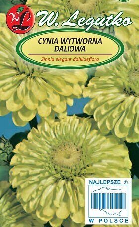 Cinnijas dāliju Envy 1 g W.Legutko A.P.