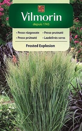  Prosa jeb īstā sāre Frosted Explosion  200 mg Vilmorin