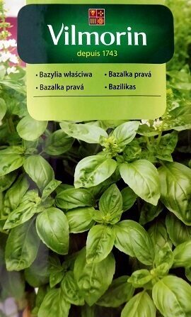 Baziliks Genovese 1 g Vilmorin