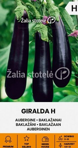 Baklažāni GIRALDA H 0.1 g Žalia stotelė