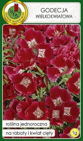 Lielziedu godēcija sarkana 1 g PNOS