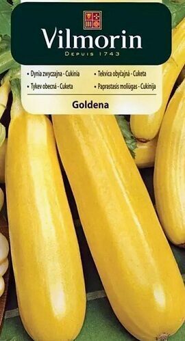 Kabacis Goldena 2 g Vilmorin A.P.