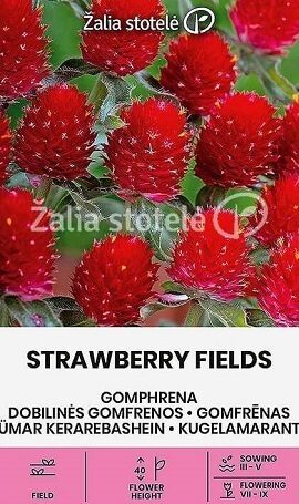 Āboliņa gofrēna  Strawbery Fields  1 g  Žalia stotelė