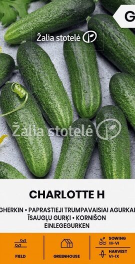 Gurķi CHARLOTTE F1 1.5 g Žalia stotele