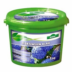 Mēslojums zilajām hortenzijām 1 kg Allflor