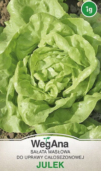 Salāti galviņu JULEK 1 g WegAna 