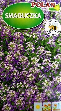 Jūrmalas lobulārija Nadmorska Liliowa  1 g Polan A.P.