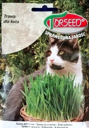 Kaķu zāle 30 g Torseed