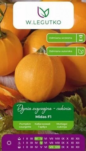 Kabacis MIDAS F1 3 g W.Legutko