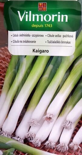 Sīpoli loku ieguvei  KAIGARO 2 g Vilmorin A.P.