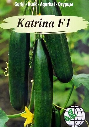 Gurķi KATRINA F1 3 gab  Agrimatco (Enza Zaden)