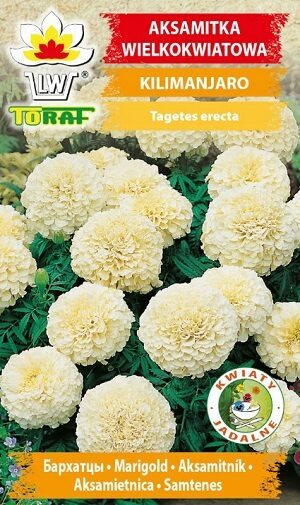 Samtenes zemās KILIMANJARO 300 mg TORAF