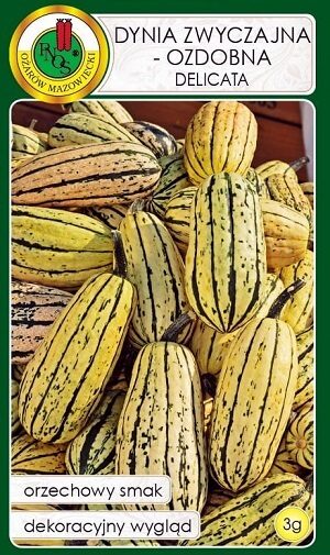 Ķirbis Delicata 3 g PNOS