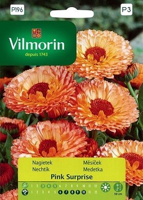 Ārstniecības kliņģerīte pildīta PINK SURPRISE 1 g Vilmorin