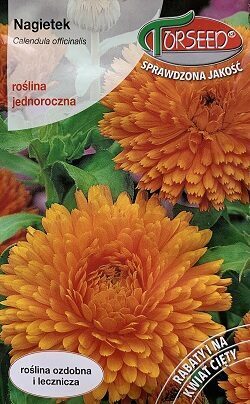 Arstniecības kliņģerīte oranža Persimon Beauty 3 g Torseed A.P.