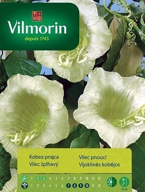 Kobejas baltas 500 mg Vilmorin