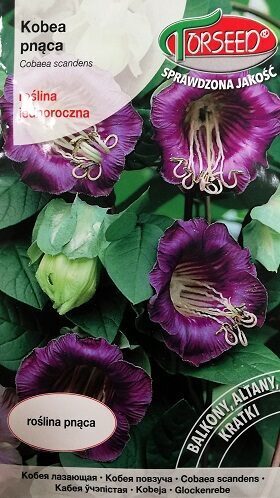 Kobejas violetas 0.8 g Torseed A.P.
