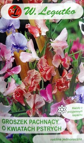 Puķuzirņi smaržīgie ar raibiem ziediem 3 g W.Legutko 
