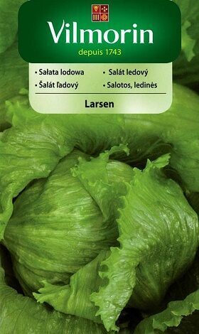 Salāti ledus LARSEN 500 mg Vilmorin A.P.