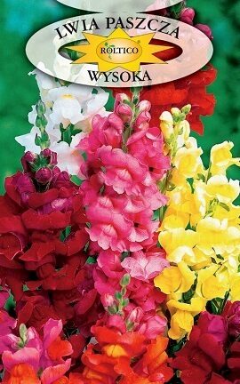 Augstās lauvmutītes MIX 0.5 g ROLTICO