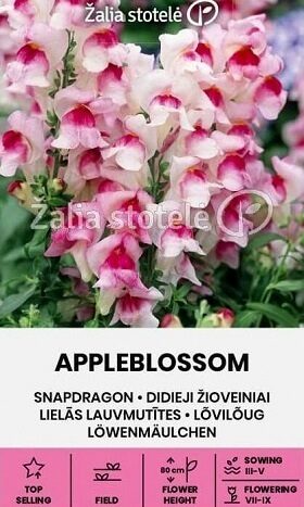 Lielās lauvmutītes APPLEBLOSSOM 0.5 g Žalia stotele