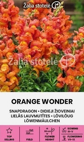 Lielās lauvmutītes ORANGE WONDER 0.5 g  Žalia stotele