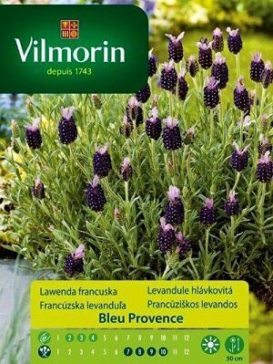 Franču lavanda Bleu Provence 300 mg Vilmorin A.P.