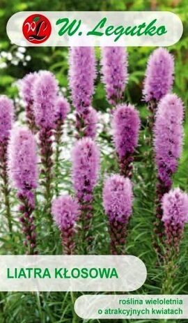 Vārpu liatre rozā 0.2 g W.Legutko  