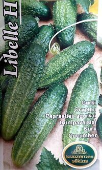 Īsaugļu gurķi LIBELLE H 1 g Kurzemes Sēklas A.P.