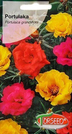 Lielziedu portulaka pildītā MIX 0.5 g Torseed A.P.