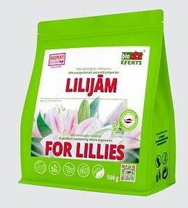 Mikrobioloģisks mēslojums LILIJĀM 500gr/100 m2   Bioefekts