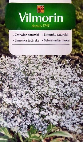 Limonija tatāru 0.2 g Vilmorin