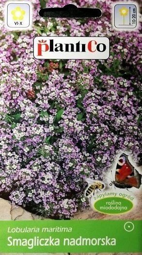 Jūrmalas lobulārija (Saldā alise) Royal Carpet 0.5 g "PlantiCo"