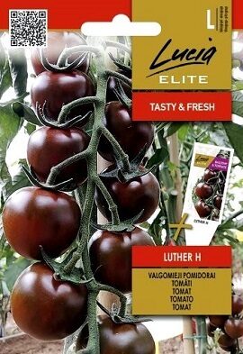  TOMĀTI LUTHER H  10 gab Sėklos LT (Lucia ELITE)