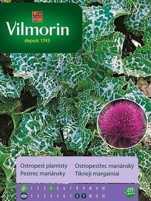 Īstais mārdadzis 2 g Vilmorin