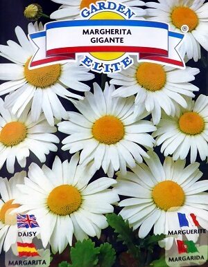 Lielziedu pīpenes baltās 0.8 g Galassi Sementi