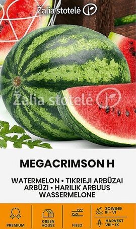 Arbūzi  Megacrimson H 10 gab Žalia stotelė