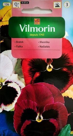 Atraitnītes lielziedu SZWAJCARSKIE MIX 1 g Vilmorin A.P.