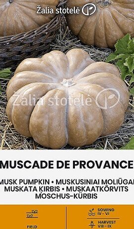 Ķirbji MUSCADE DE PROVENCE 2 g  ŽALIA STOTELĖ 
