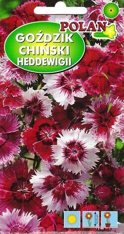 Ķīnas neļķes Baby Doll Mix 1 g Polan   A.P.