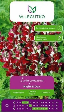 Lielās lauvmutītes DAY & NIGHT 0.6 g  W.Legutko