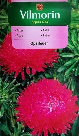 Asteres ķīnas peoniju Opalfeuer 500 mg Vilmorin