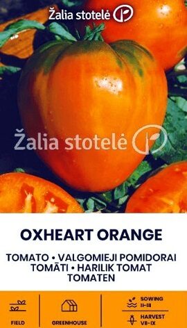 Tomāti OXHEART ORANGE 0.1 g  ŽALIA STOTELĖ